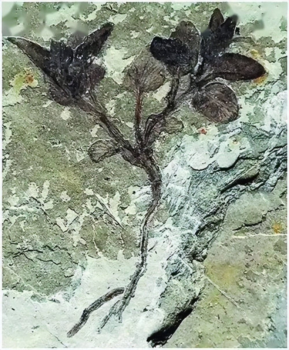 【剑新诗集】生命的故事03：中生代