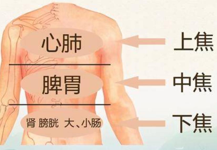 从中医横纵枢机理论出发，谈谈临床水肿的治疗方式