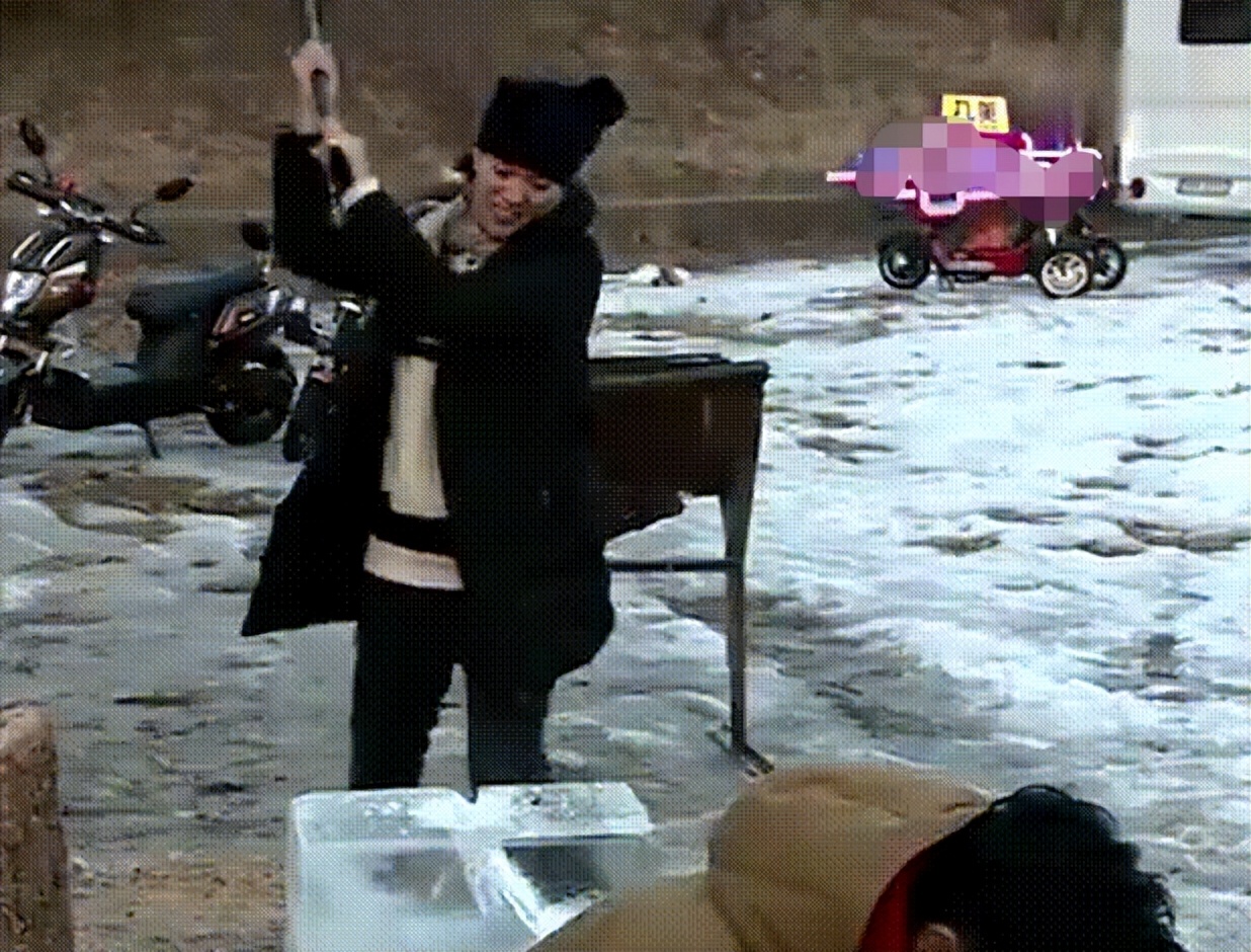 最美香港女星袁咏仪,最美港姐袁咏仪