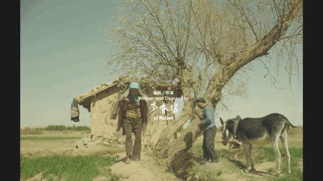 海清童瑶哪个更出名,童瑶新剧跟海清对比哭戏