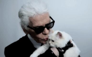 刘雯邓文迪,邓文迪杨紫琼