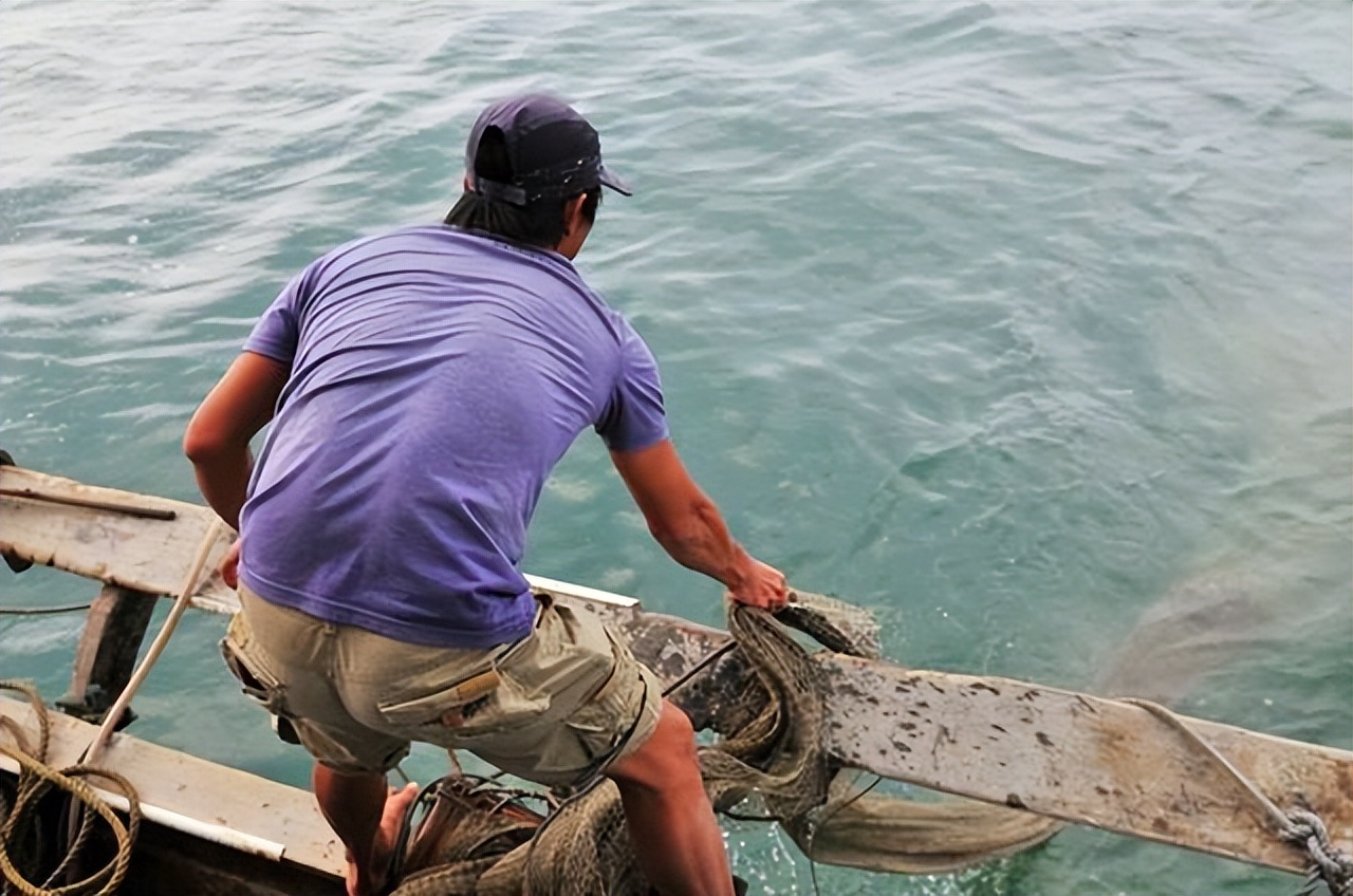 出国打工16年男子流落巴西街头,小伙流浪在外捕鱼