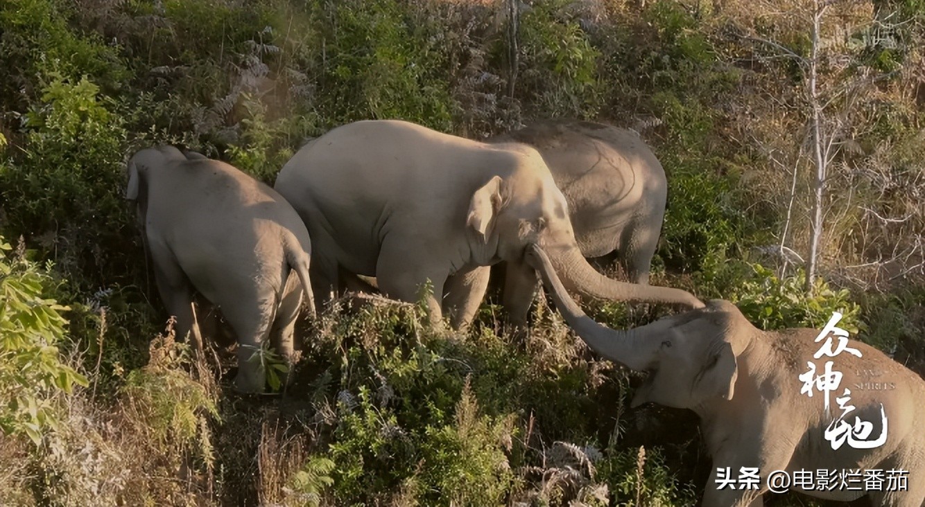 十大值得一看的中国纪录片,震撼的十部中国纪录片