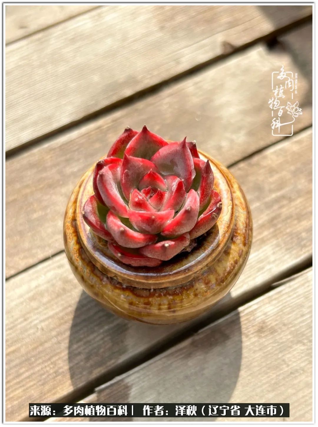 四季轮回之秋天,四季轮回之冬季