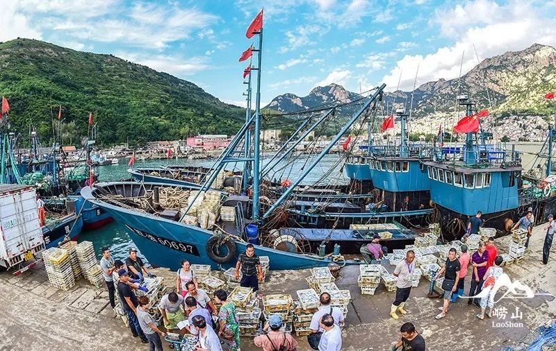 要去有风的地方短句,想去有风的地方怎么办