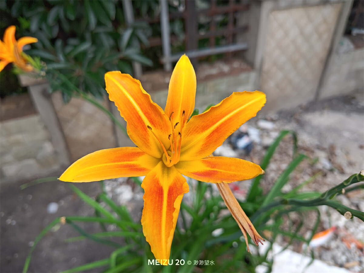 魅族20全系列深度测评,魅族20体验一段时间优缺点总结