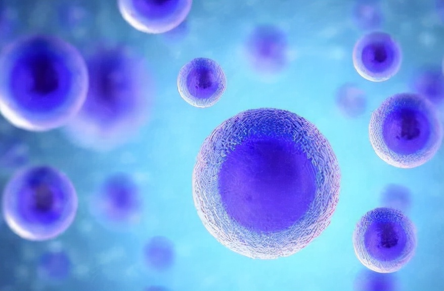 日本bnct对肺癌能治愈吗,日本bnct治疗癌症多少钱