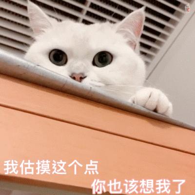 大脸女生必剪这3款刘海最显脸小,超显脸小的4款刘海赶紧去剪