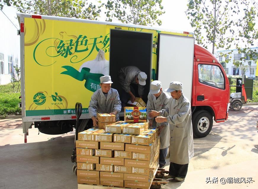 金乡大蒜基地视频,金乡大蒜产业园的经营现状