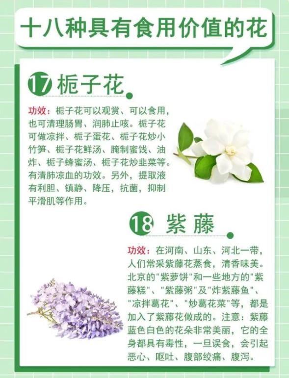 18种最漂亮的花草,18种必养的花