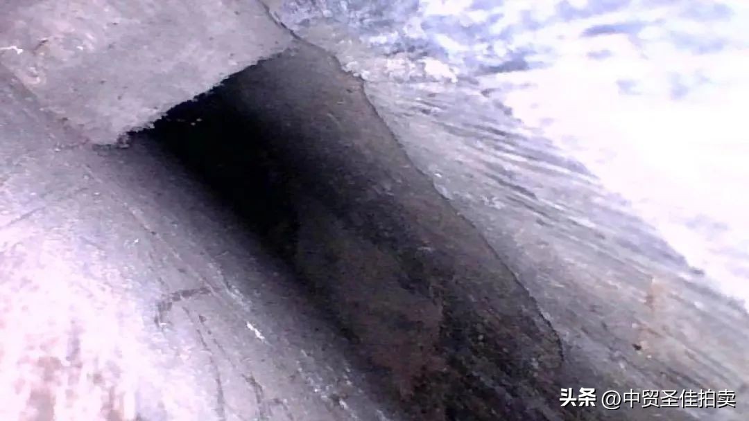 圣佳艺文志｜百衲琴考