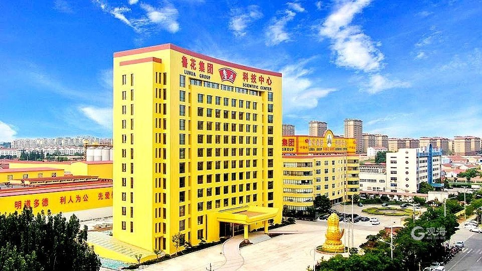 孙东伟烟台企业家采访,孙东伟小花生大产业