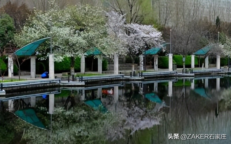 石家庄早新闻,早新闻完整内容