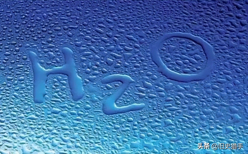 22个让人细思极恐的事实,13个关于动物的荒谬事实