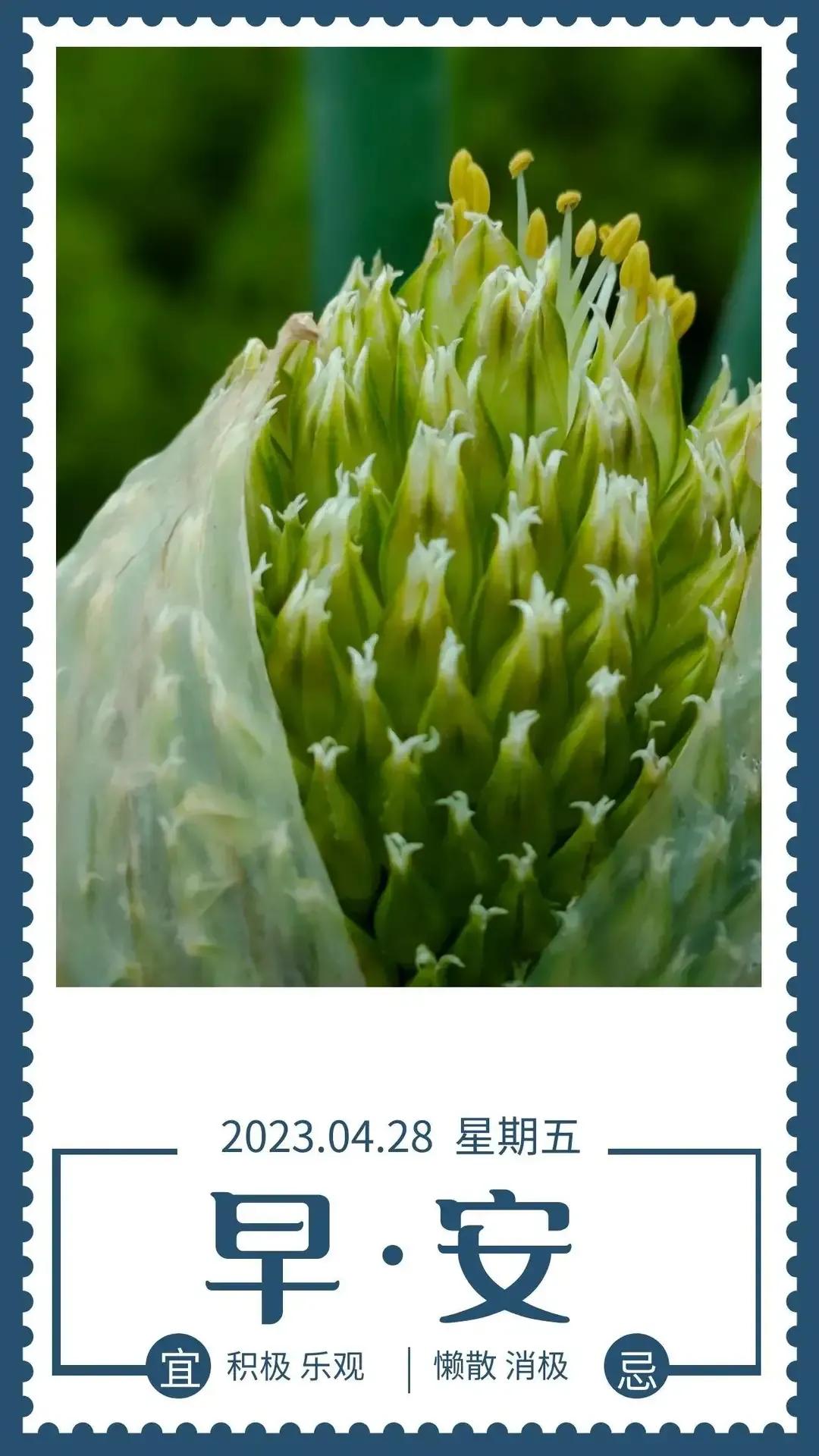 庚子日柱2023年癸卯年运势,癸卯年2023年哪个月出生最好