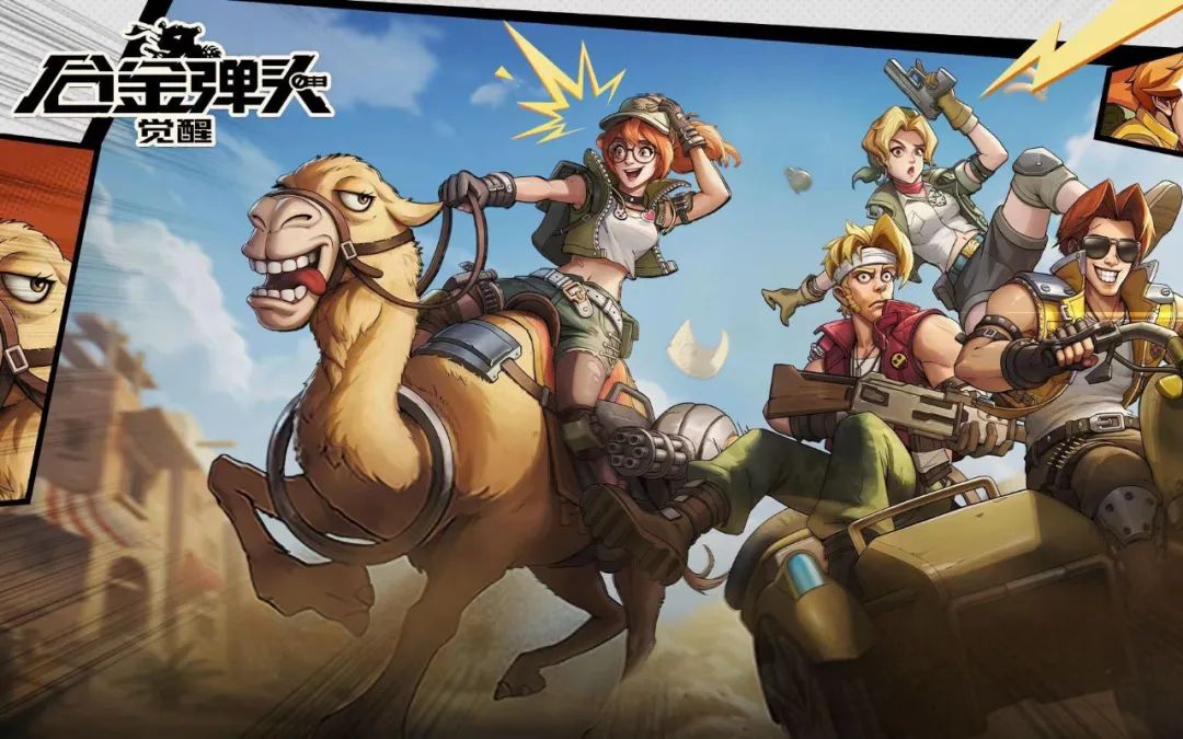 蛰伏了一年,蛰伏一季