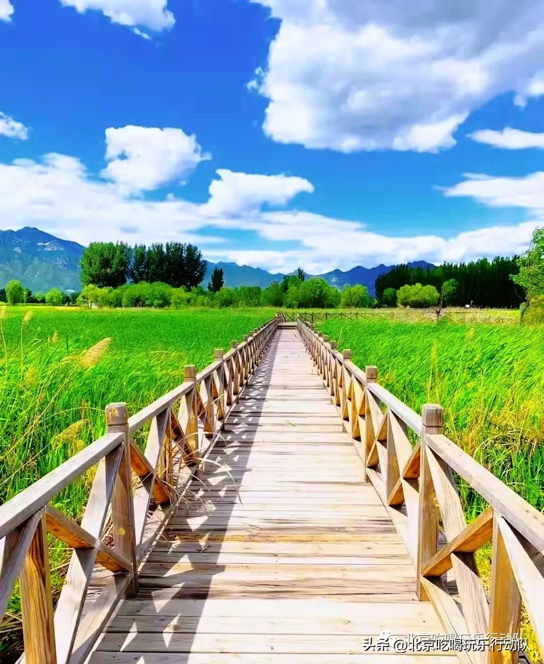 国内葡萄主题公园,德霖生态葡萄主题公园