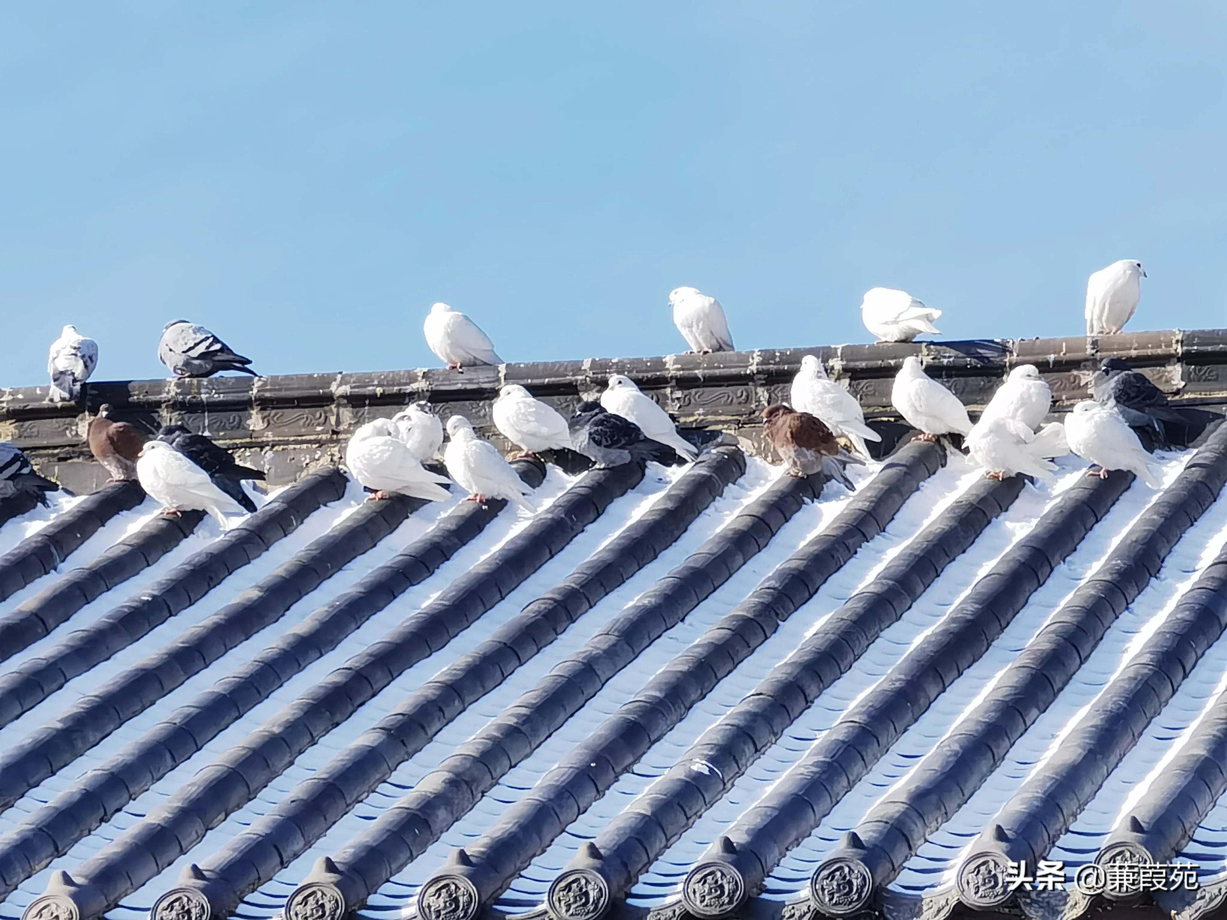 书香相伴阅读致远,书香致远相伴成长演讲稿视频高中