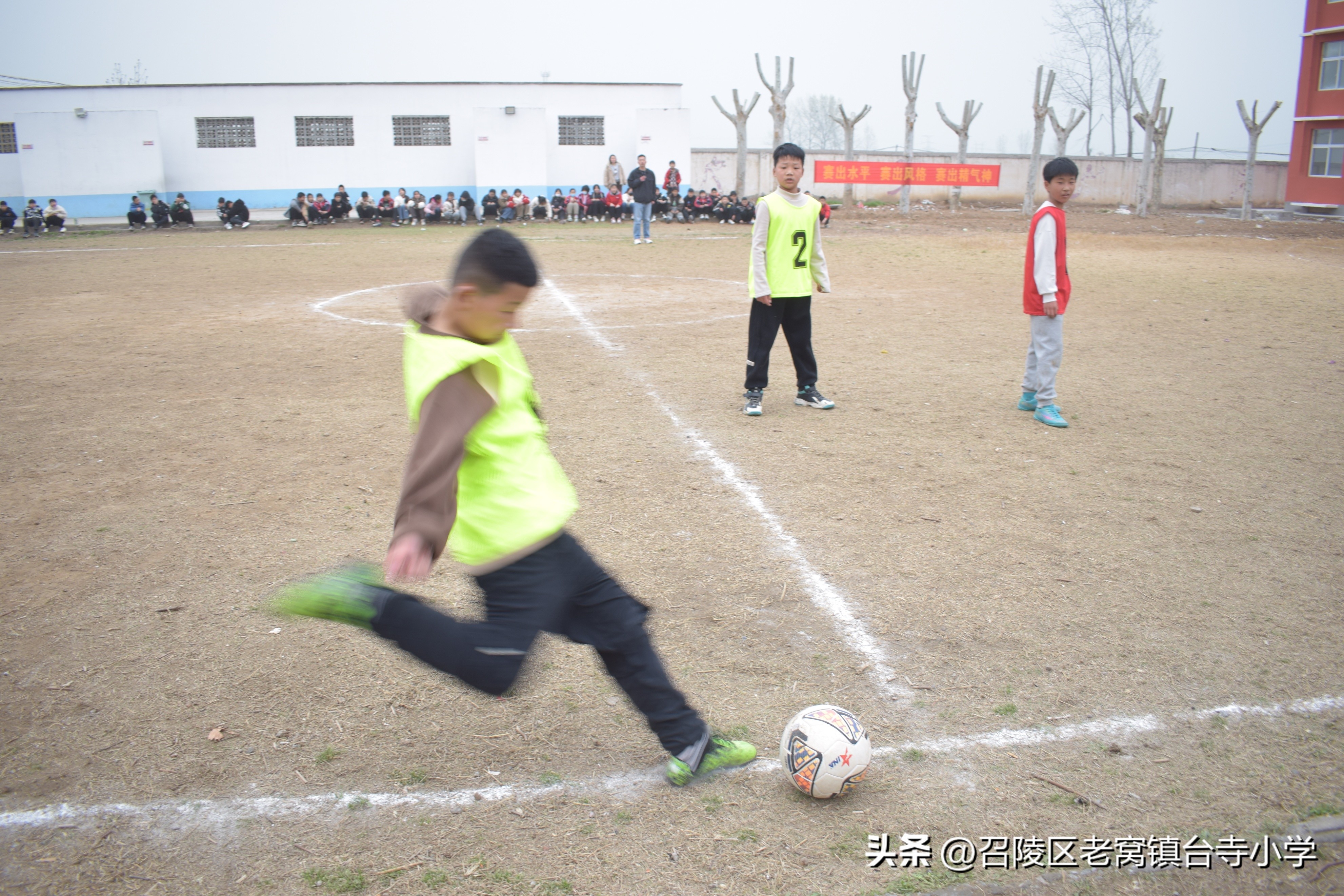 召陵区台寺小学,漯河市老窝镇台寺小学