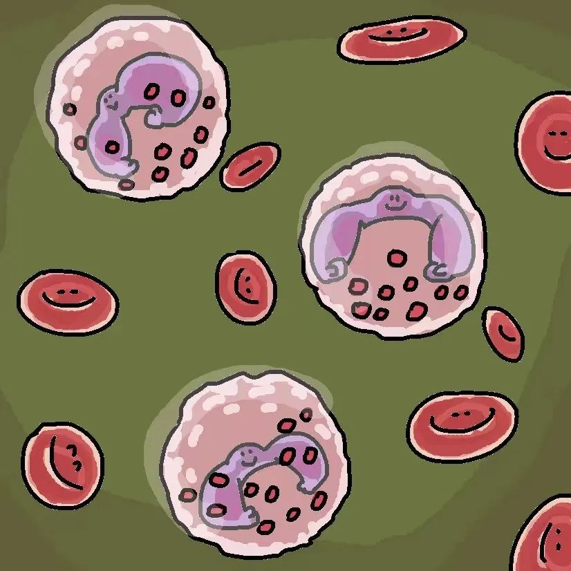 猫咪上火的症状和治疗方法,猫咪嘴巴上火起泡怎么快速消除