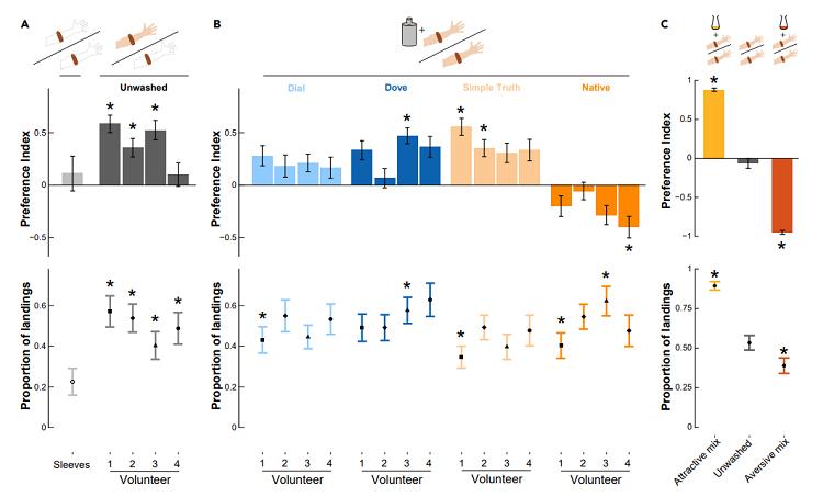 哪种沐浴露可以消蚊子,蚊子咬了抹沐浴露