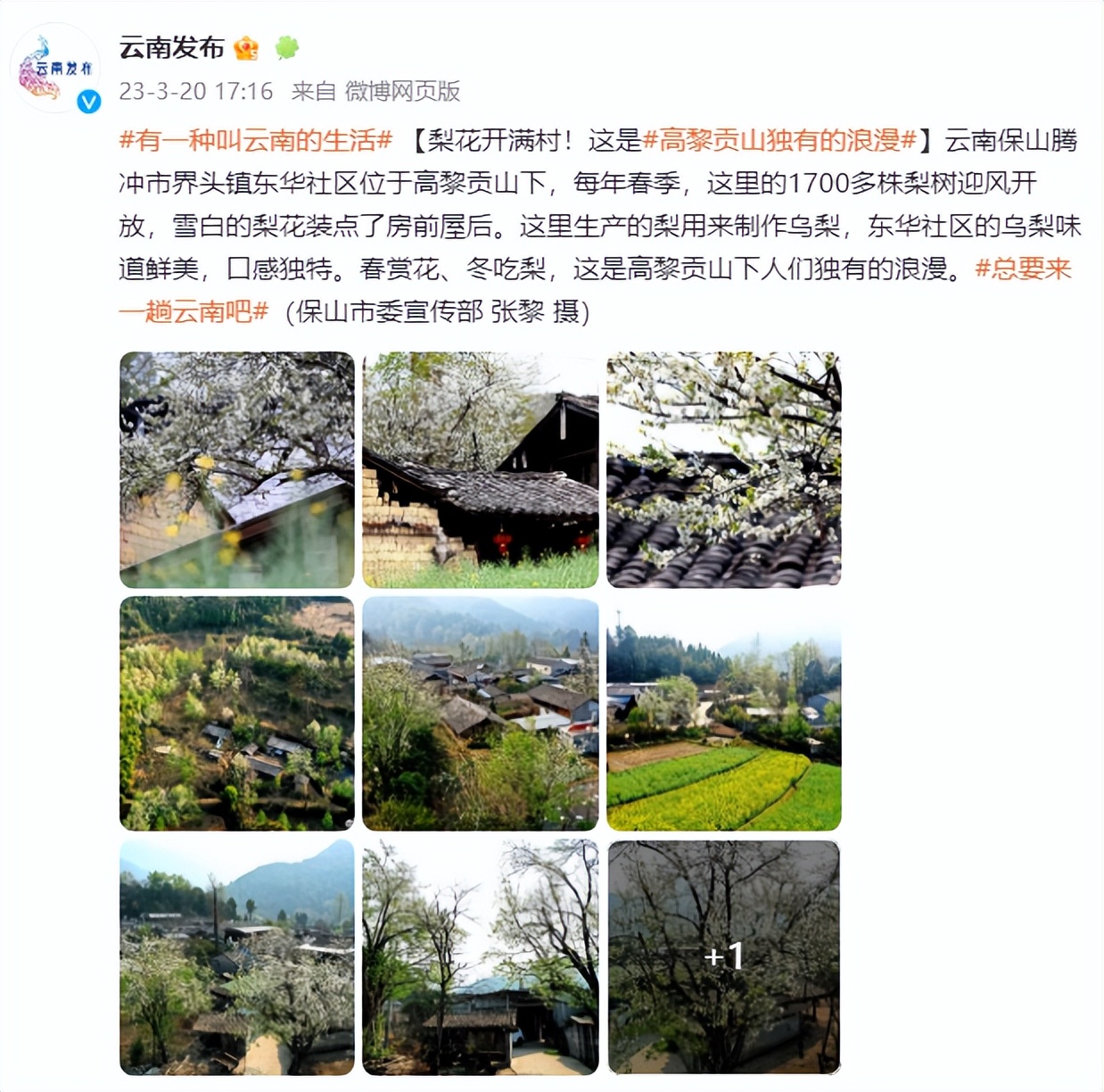 有一种叫云南的生活｜偏爱腾冲的N个理由