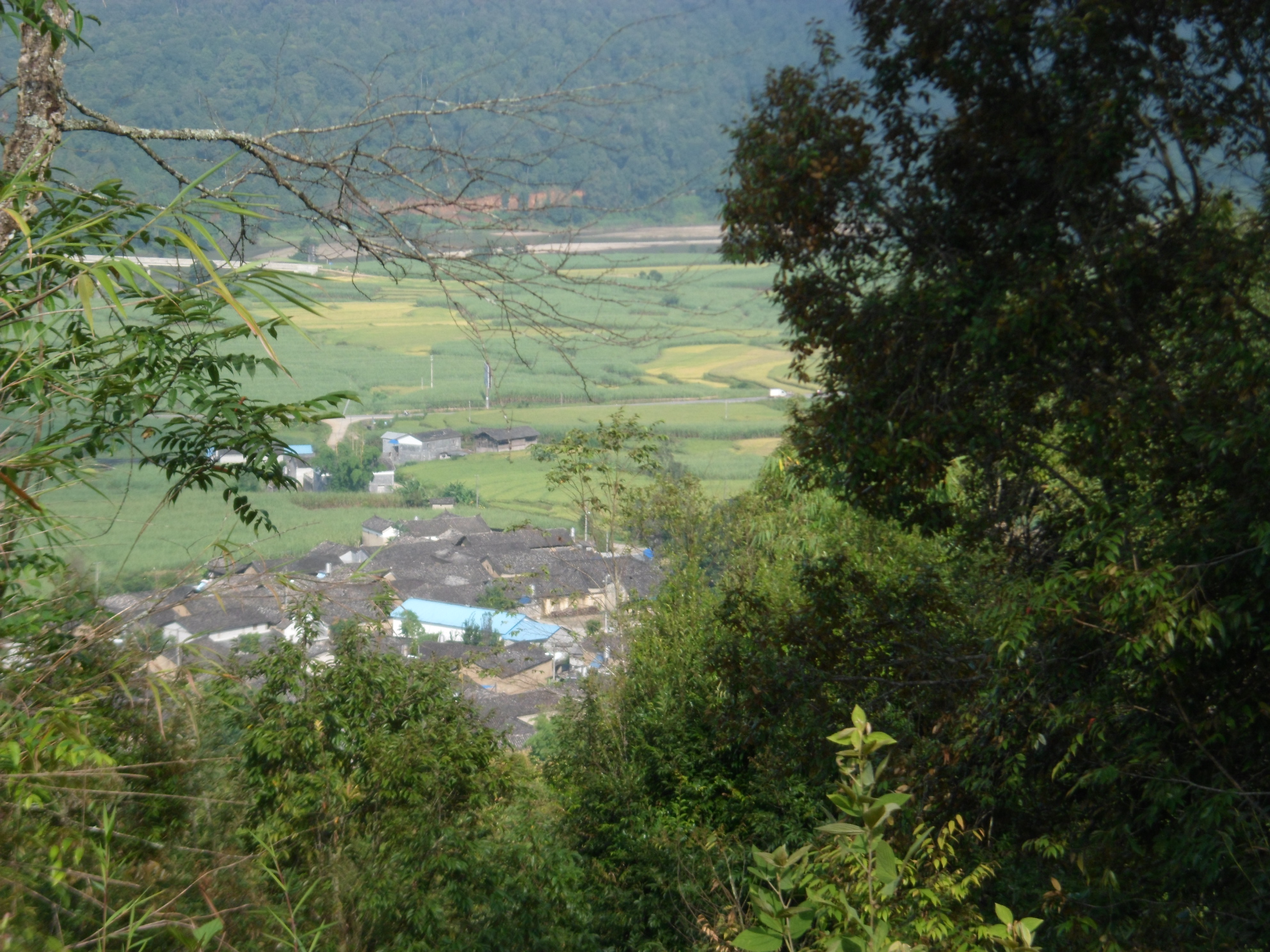 偷水，包饭，送母亲去西方极乐世界
