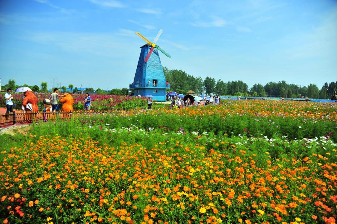 合肥旅行推荐平价旅游线路,合肥旅游线路