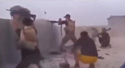 小杨哥连线半只狐狸,小杨哥和半只狐狸连麦