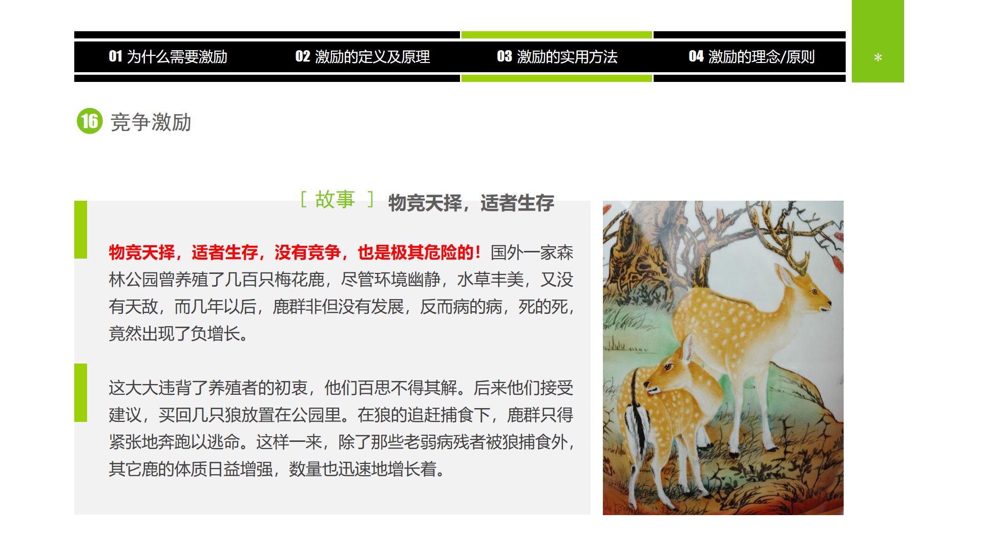 企业中高层领导培训教材