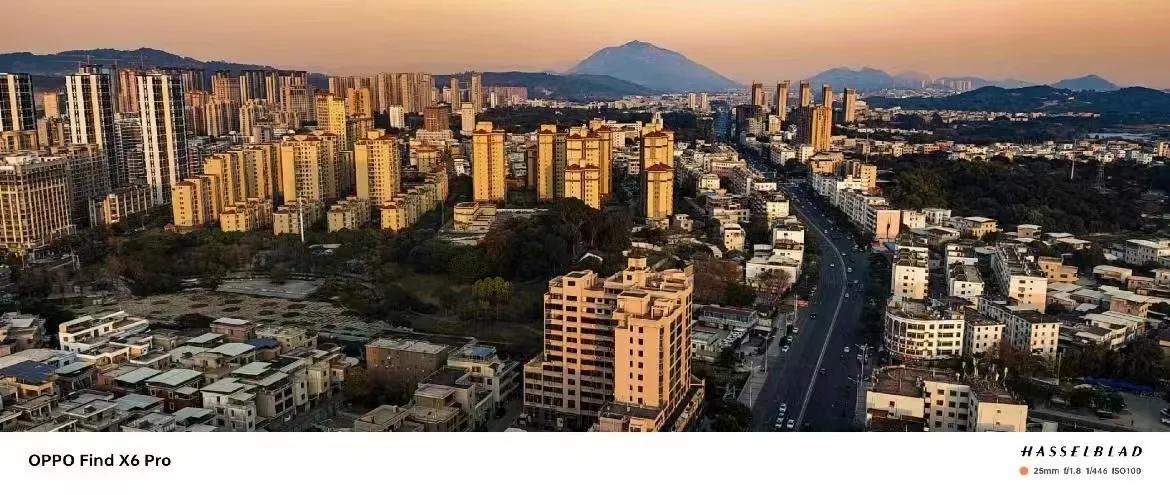 ccd的市场,ccd有多暴利