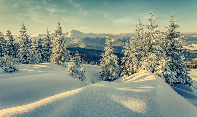 天长地久从来就不是一种运气,天长地久确实很虚无缥缈