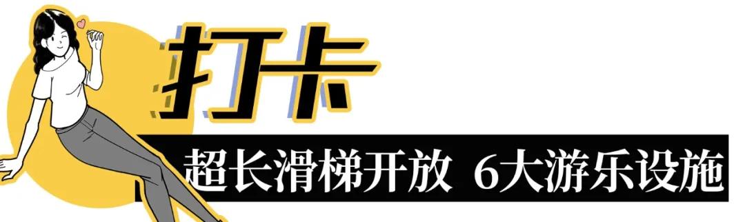 雨林打卡网红地滑梯,深圳莲花山滑梯