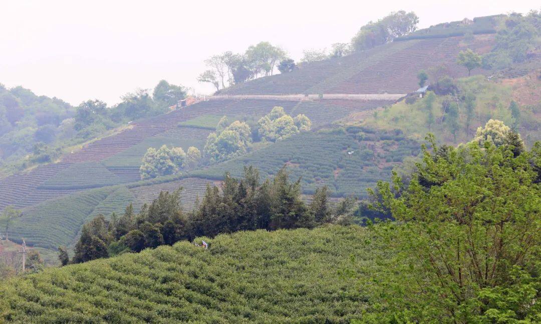 离杭州比较近的浙江城市,离杭州很近的市区