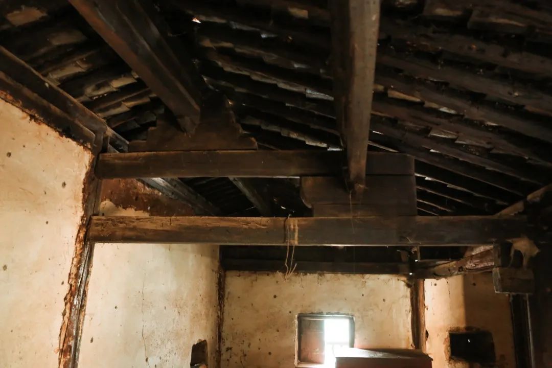 回归乡村的年轻人：自耕自食，无需财务自由