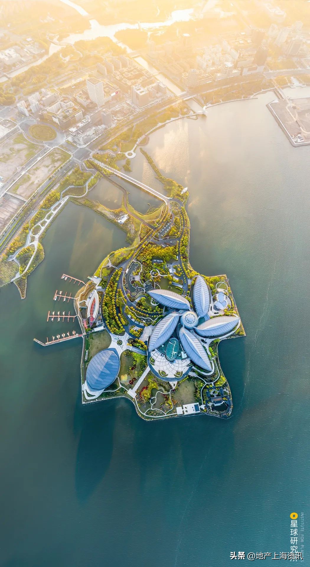 上海为什么需要洋山港,临港会是上海未来最好的地方吗