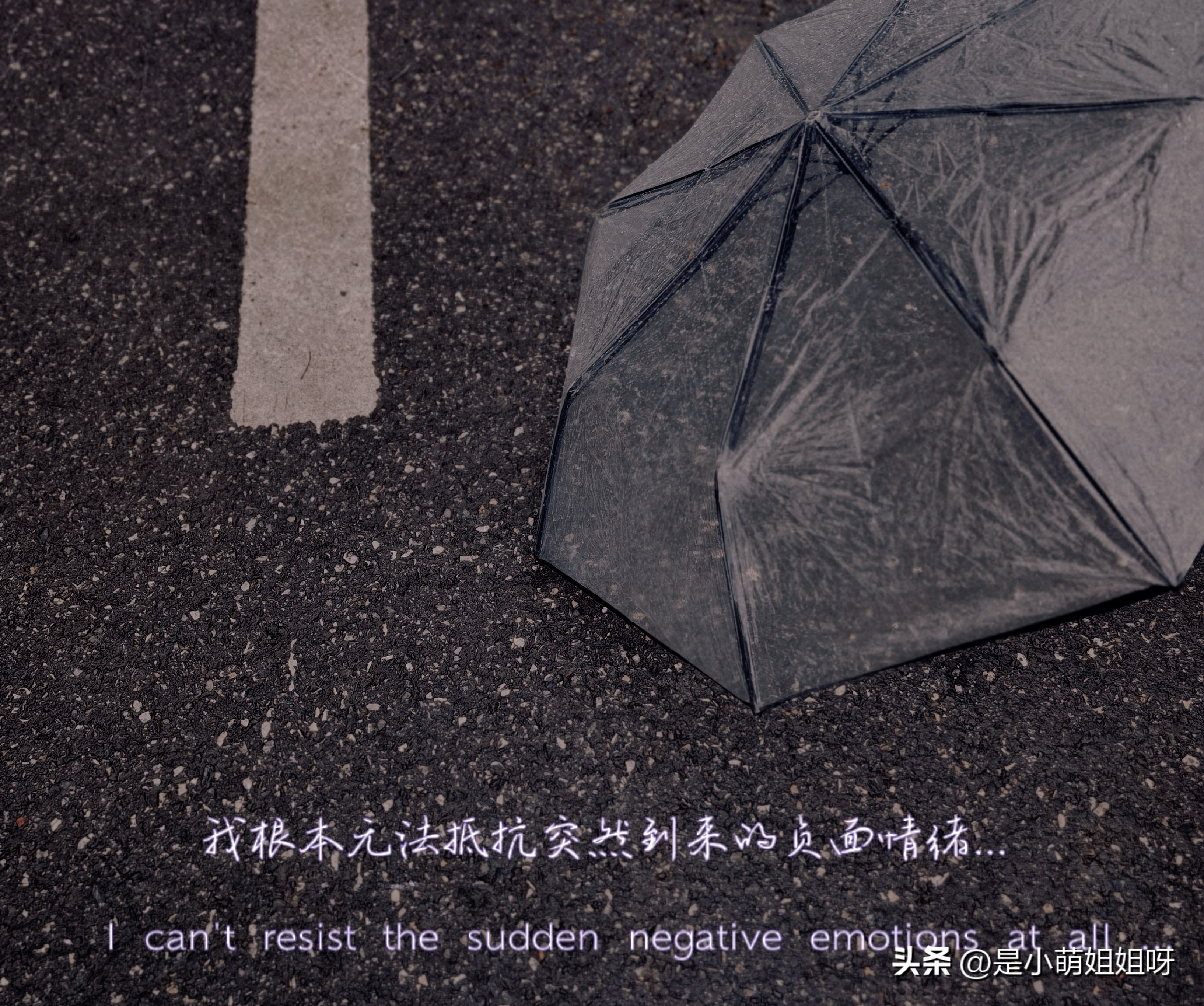 2023已过半,我赚到了19万,原来半年的时间可以做成这么多事