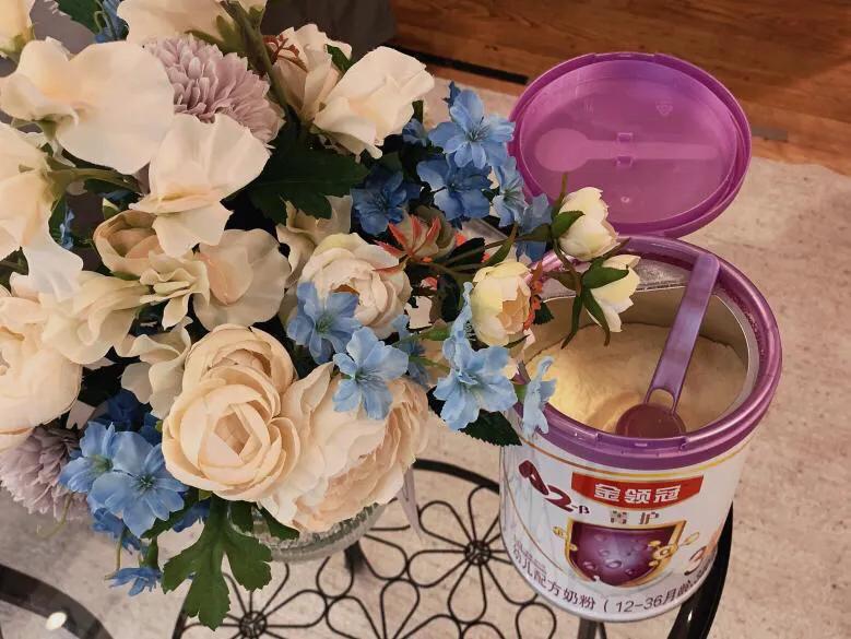 伊利金领冠宝宝奶粉首选,伊利金领冠菁护升级版奶粉测评