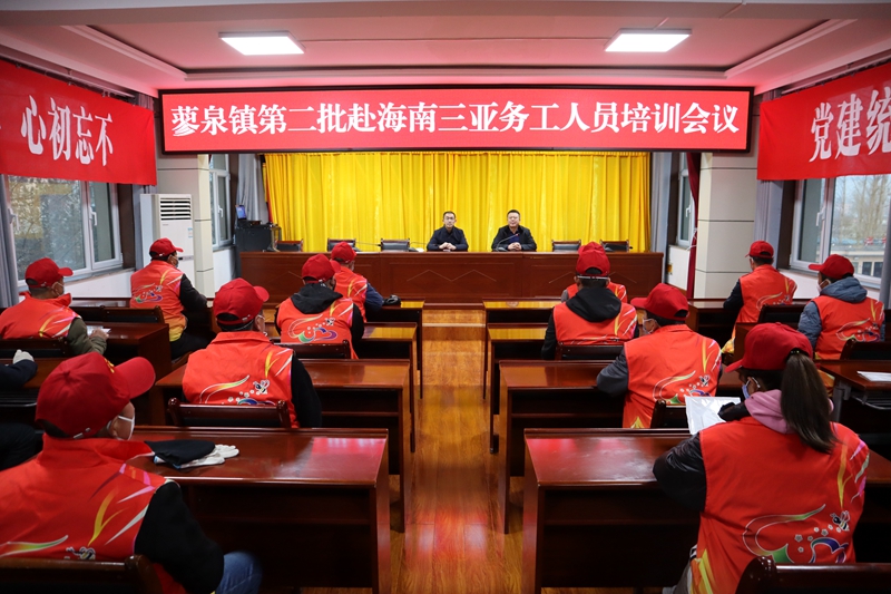 候鸟报道,候鸟务工