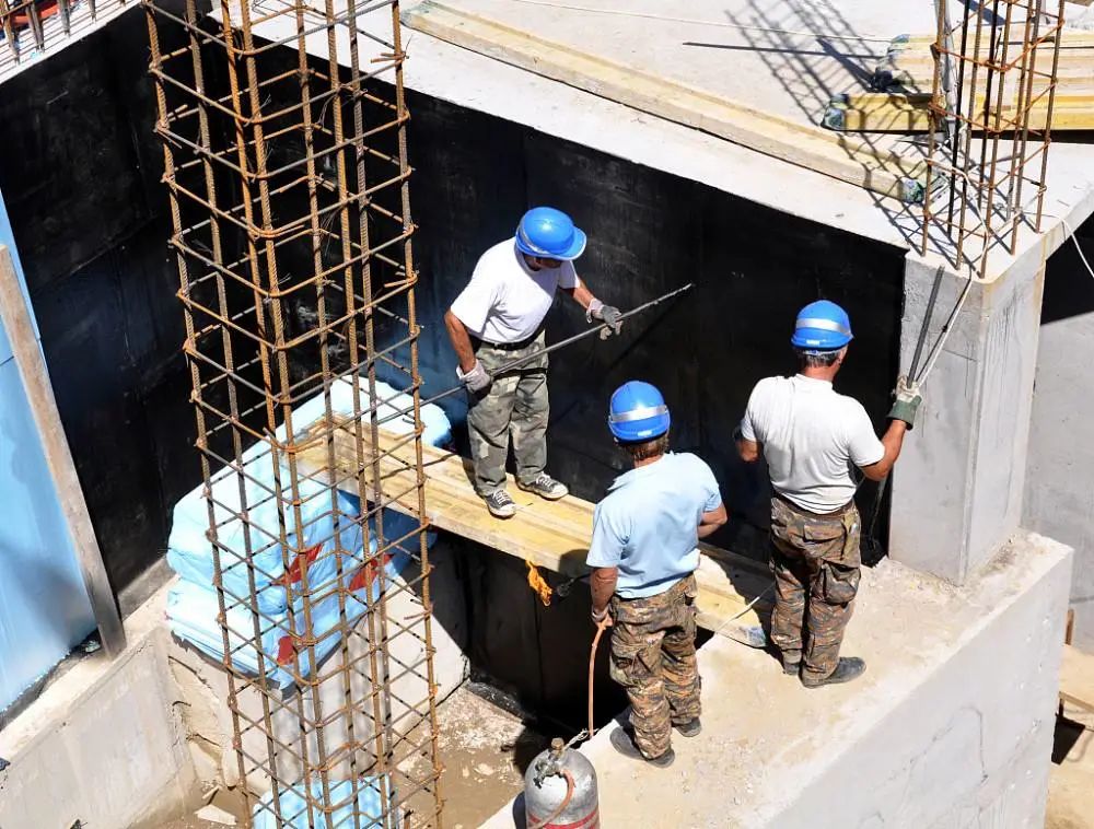 虫子太多有什么解决办法,虫子进入血液中怎么办