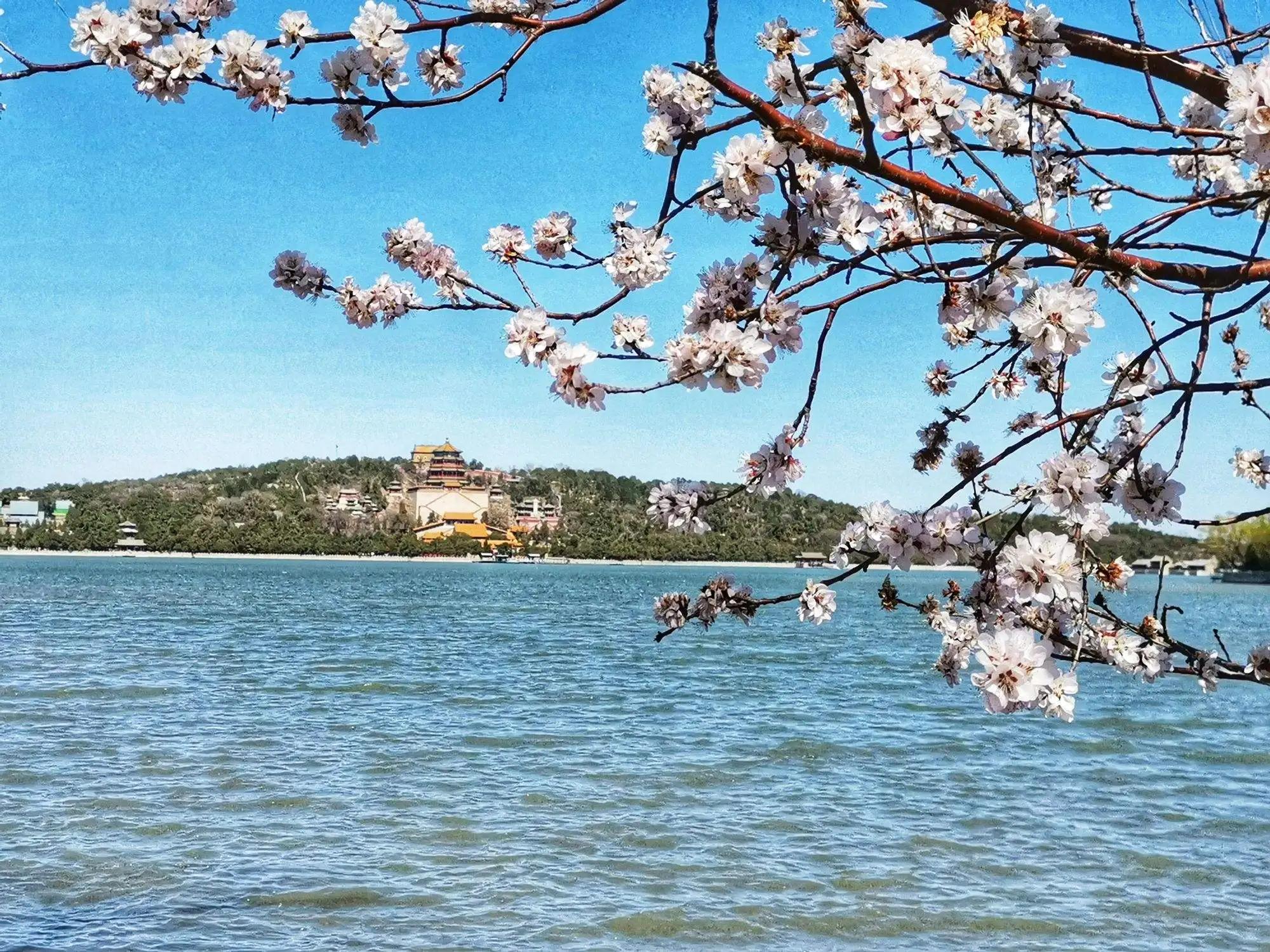 近代四大买办 (近代买办阶层的形成发展和衰落)