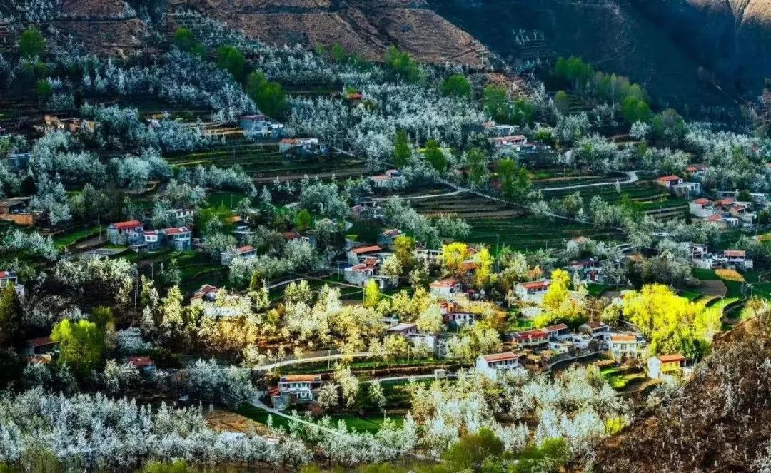 火出了圈,甘孜文旅局长化身侠客火出圈