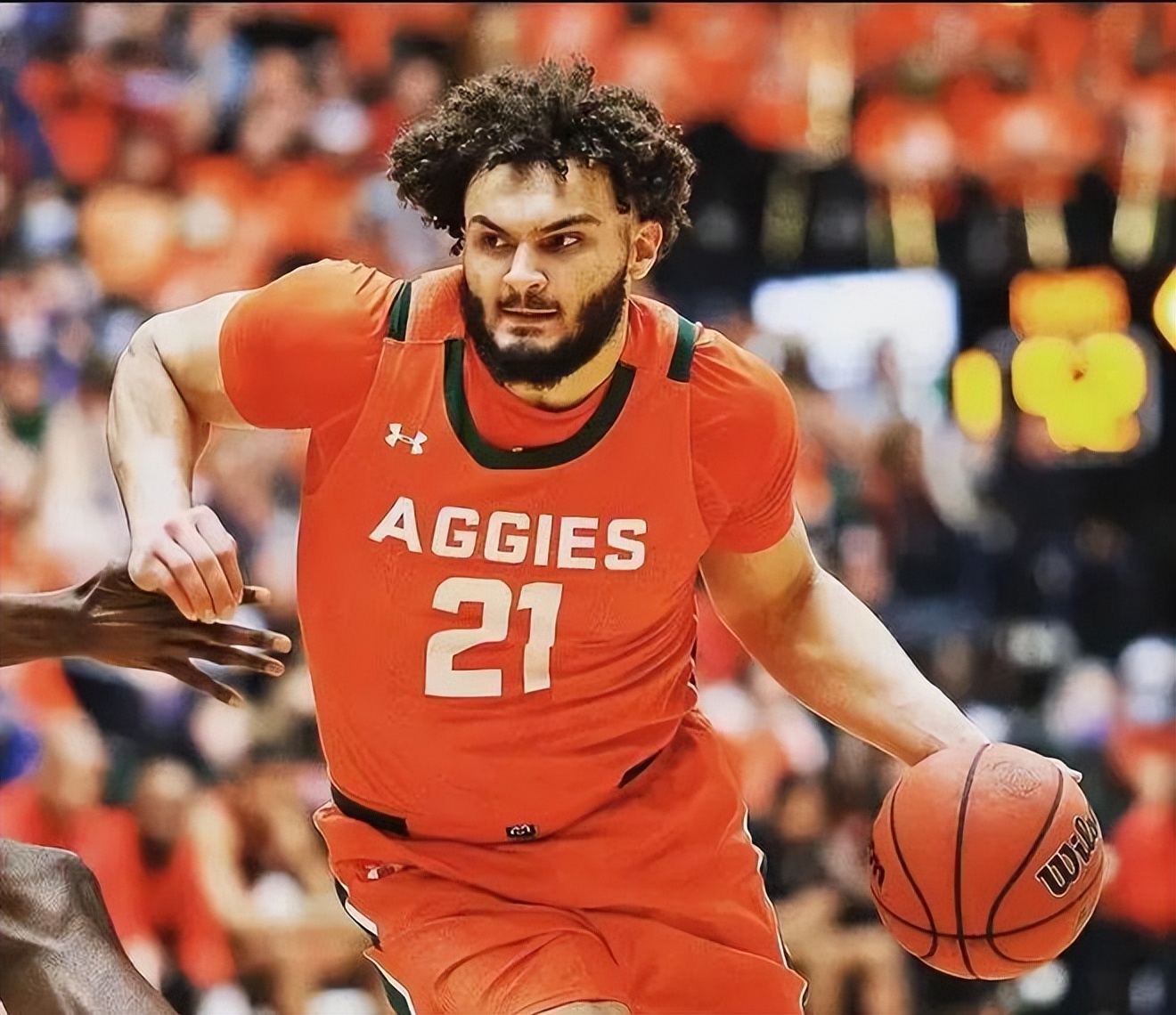 雪山新秀观察—DavidRoddy