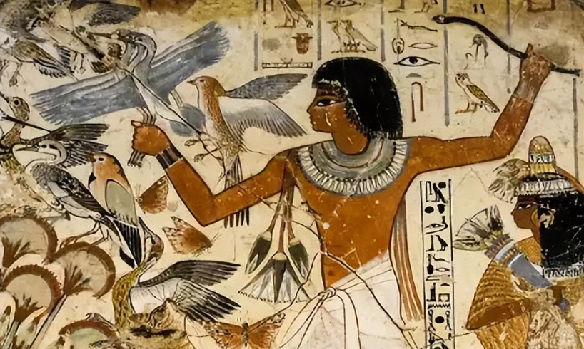 从考古学的发现看世界古代文明,有关古埃及的医学资料