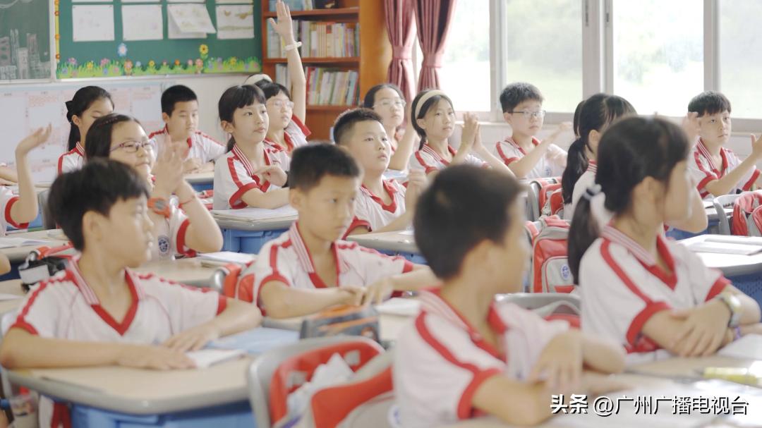 谈笑有鸿儒栏目采访,谈笑有鸿儒节目