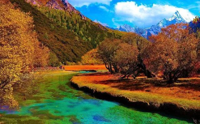 一定要来南方旅游，领略南方景色的风情万种