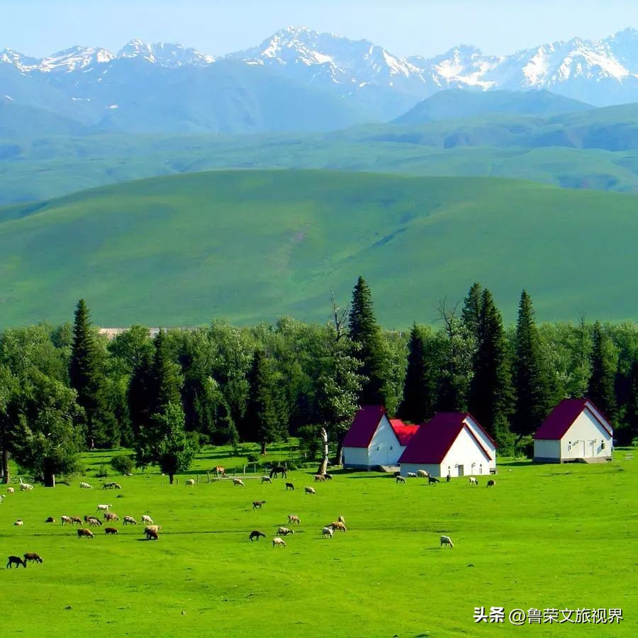 大美新疆的风景有哪些,大美新疆北疆美