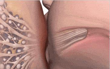 宝宝马上四个月了奶不够吃怎么办,宝宝刚满4个月母乳不够可以断吗