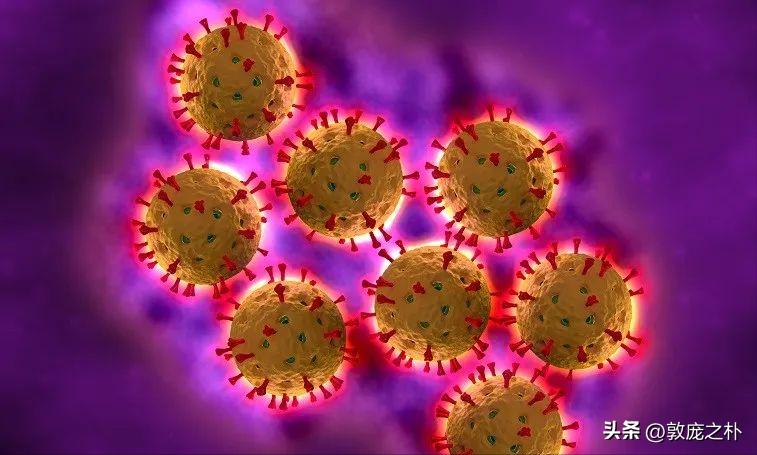 地球上十大可怕的病毒,地球上最厉害的十种病毒都是什么