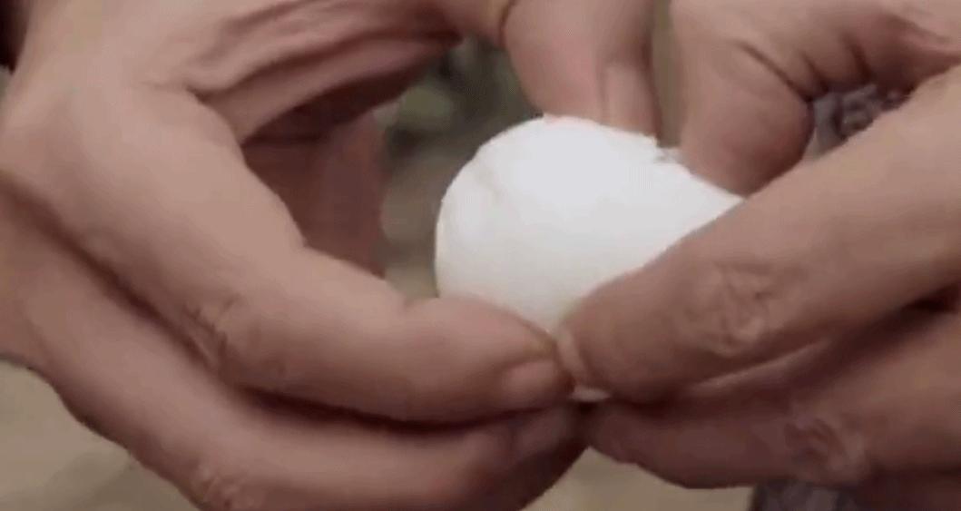 水果中的爱马仕多少钱,高端水果中的爱马仕